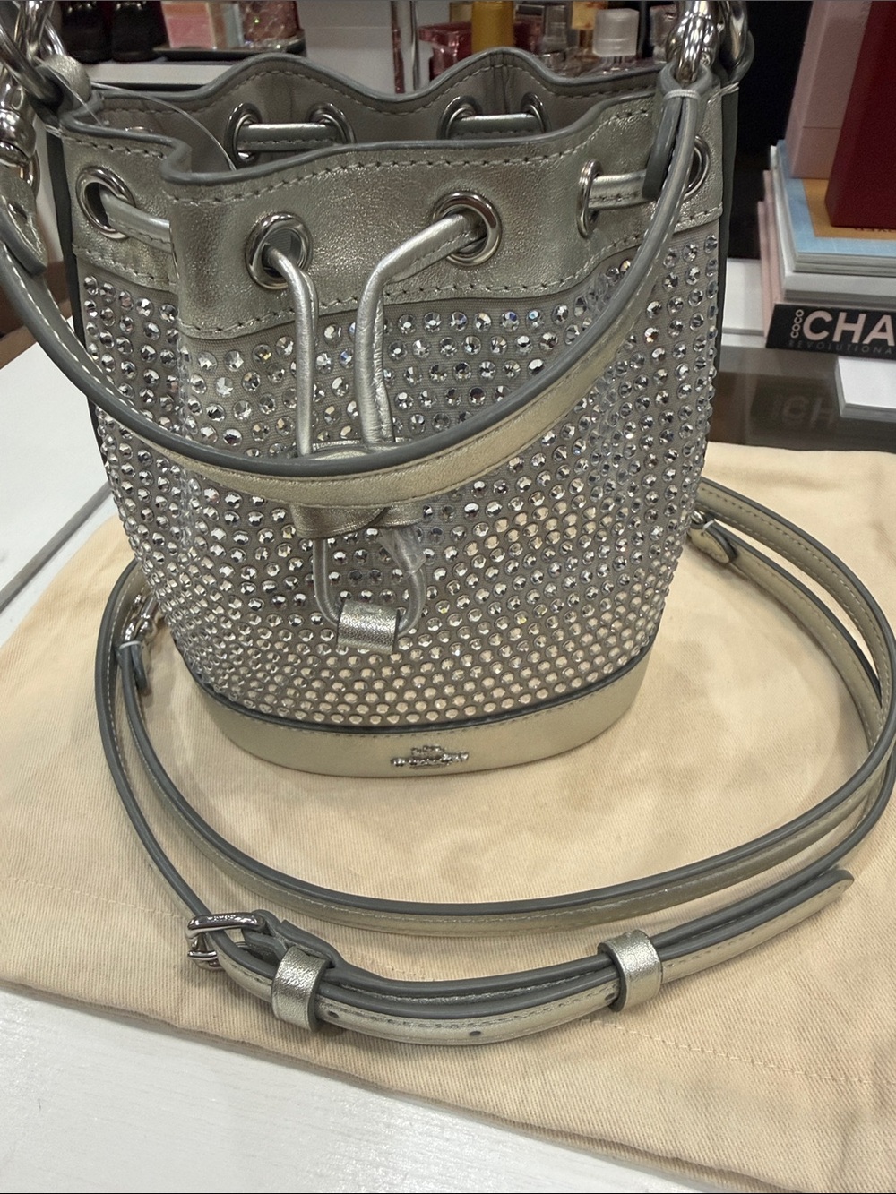 New Coach Metallic Silver Crystal-Embellished Bucket mini Bag - Picture 2 of 10